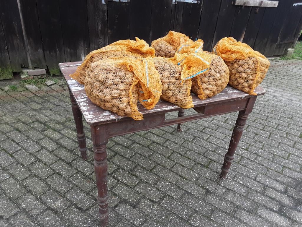 Walnoten, van eigen boom, gedroogd. (Prijs per kilo), Ophalen