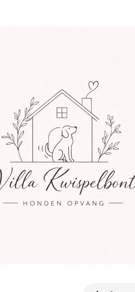 Honden pension voor kleine honden., Diensten en Vakmensen, Dieren | Honden | Verzorging, Oppas en Les