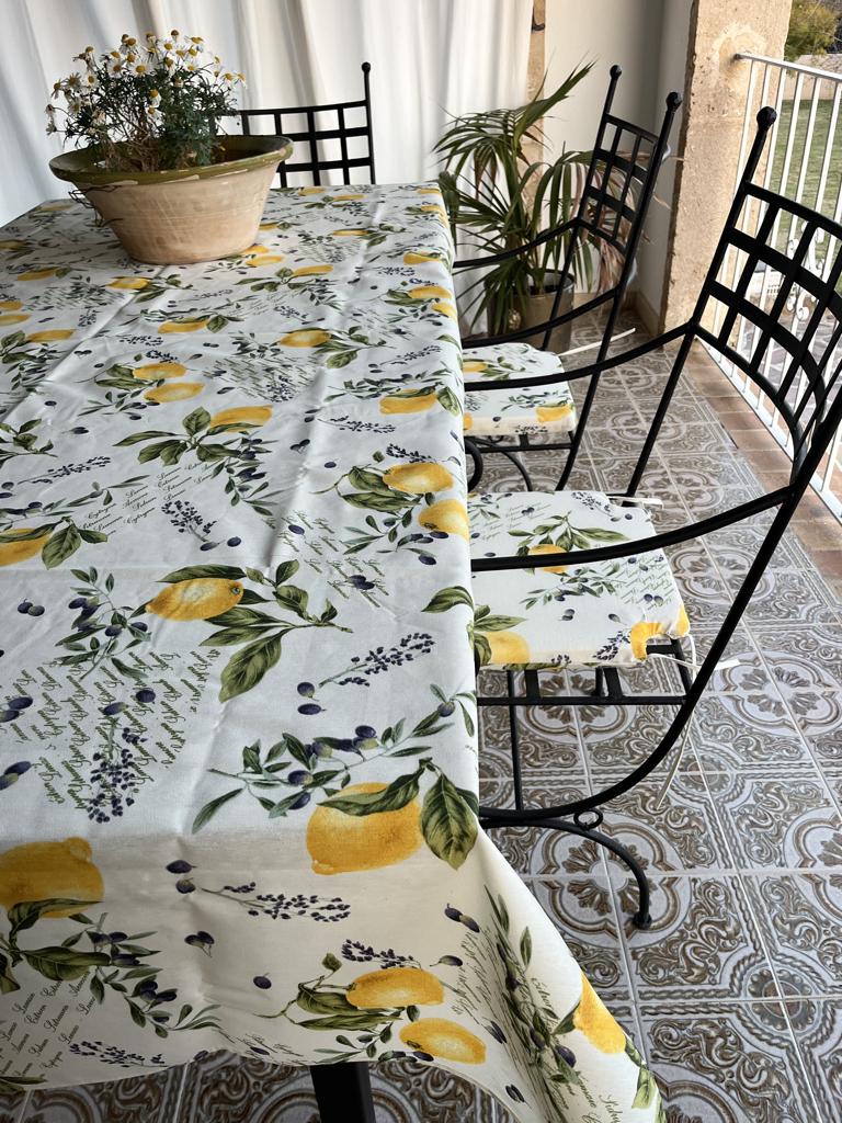 buiten tafelkleed en stoelkussens, Ophalen of Verzenden, Nieuw