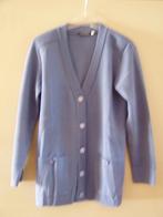 hemels blauw lang vest, S, by Your Sixth Sense, C & A, Kleding | Dames, Blauw, Maat 42/44 (L), Ophalen of Verzenden, Zo goed als nieuw