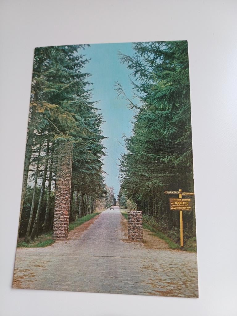 Ansichtkaart Appelscha, Ingang recreatiecentrum Roggeberg, Ophalen of Verzenden, 1960 tot 1980, Gelopen, Friesland