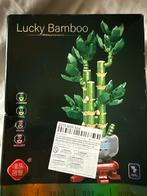 Lucky Bamboo Bouwset - Nieuw in doos!, Ophalen of Verzenden, Nieuw, Overige merken