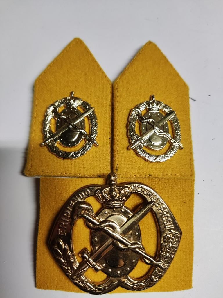 Setje Geneeskundige Dienst. Geel, Ophalen of Verzenden, Landmacht, Nederland, Embleem of Badge