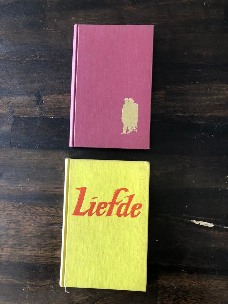Boeken Huwelijk in Ballingschap en Liefde, Boeken, Ophalen of Verzenden, Gelezen, Christendom | Katholiek