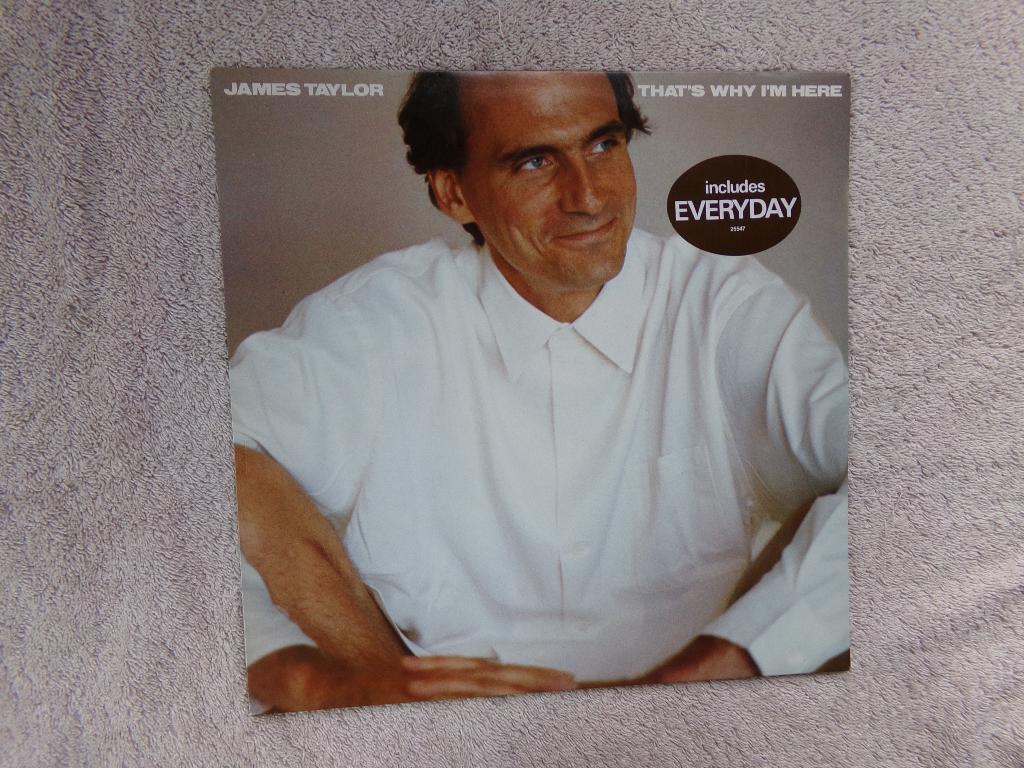 James Taylor - that's why I'm here, Cd's en Dvd's, Vinyl | Pop, Ophalen of Verzenden, 1980 tot 2000, Zo goed als nieuw, 12 inch