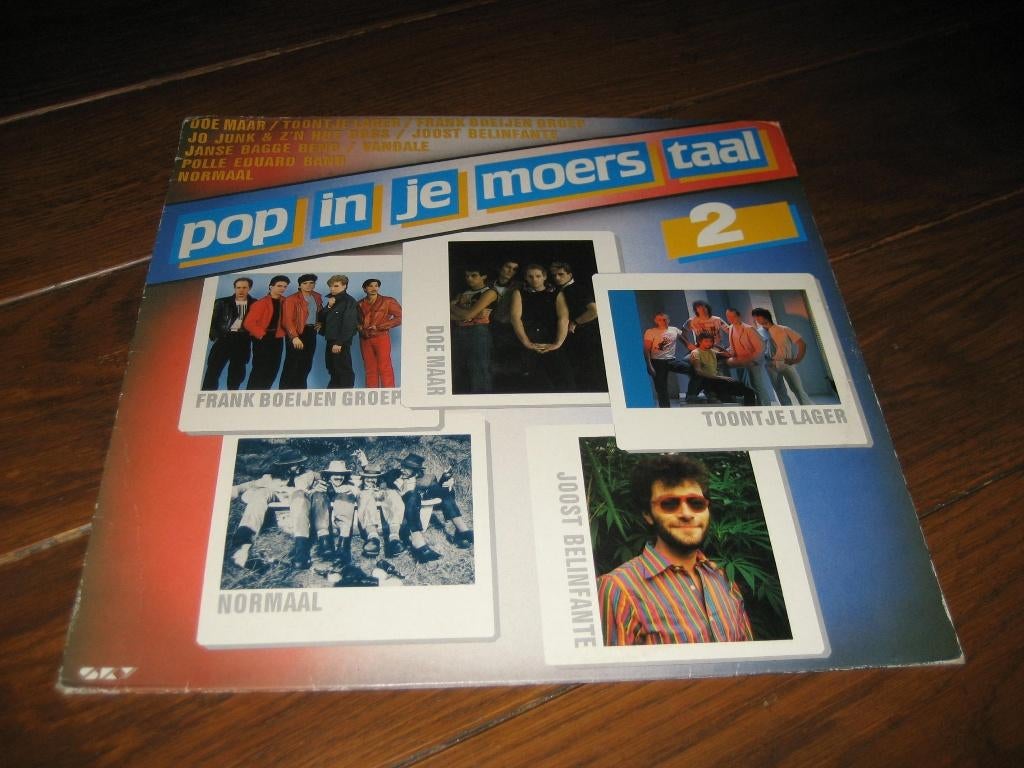 Pop in je moers taal oa doe maar en normaal, Cd's en Dvd's, Vinyl | Nederlandstalig, Ophalen of Verzenden, Gebruikt, 12 inch, Pop