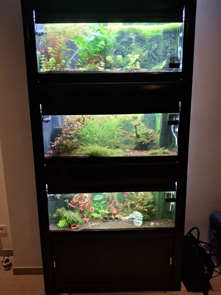 Aquarium stelling 3x 100x40x40, Dieren en Toebehoren, Ophalen, Leeg aquarium
