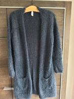 Miss Etam Harig Warm Vest Donkerblauw Maat 36 (S), Kleding | Dames, Truien en Vesten, Ophalen of Verzenden, Zo goed als nieuw