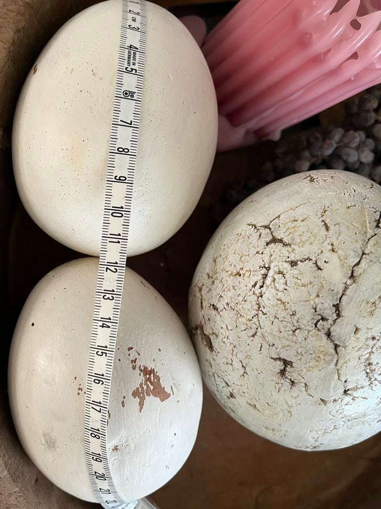 Grote paaseieren, Ophalen of Verzenden, Gebruikt