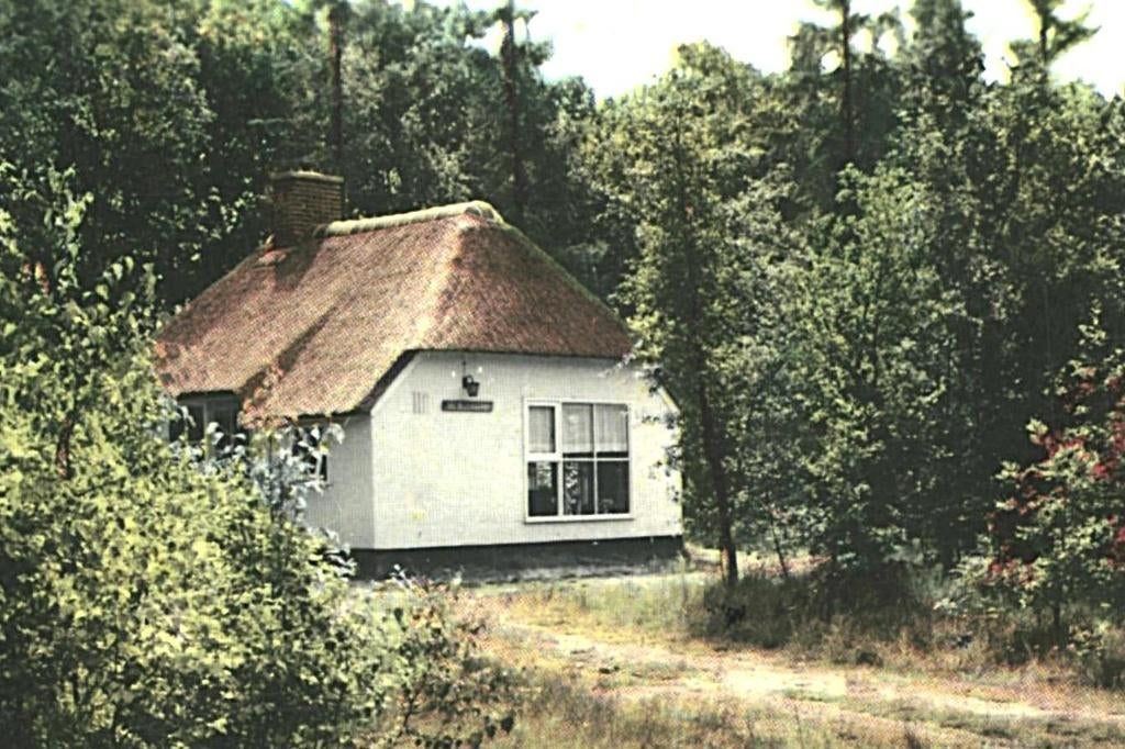 946748 Assen 1965 Buitencentrum Witterzomer zegel afgeweekt, Ophalen of Verzenden, 1960 tot 1980, Gelopen, Drenthe