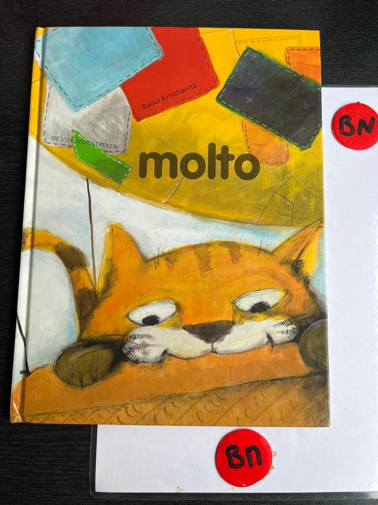 Molto - Raoul Krischanitz (De Vier Windstreken), Boeken, Ophalen of Verzenden, Zo goed als nieuw, Fictie algemeen