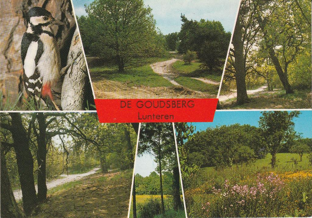 De Goudsberg Lunteren, Ophalen of Verzenden, 1980 tot heden, Gelopen, Gelderland