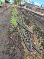 Gratis haspelslang, Dieren en Toebehoren, Dierenvoeding, Ophalen