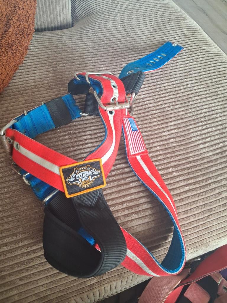 Tuig extreme dog gear, Dieren en Toebehoren, Ophalen of Verzenden, Zo goed als nieuw, Hondenriem