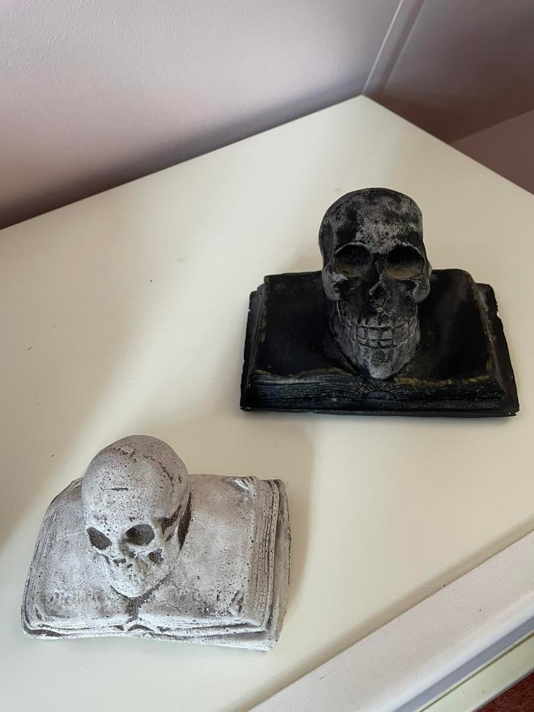 Decoratieve beelden: schedel op boek, Ophalen, Overige stijlen, Zo goed als nieuw, Grijs