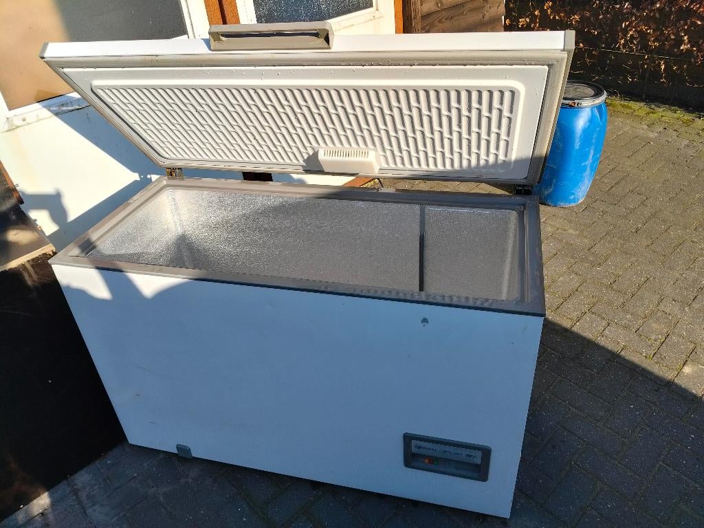 Vriezer bauknecht, Witgoed en Apparatuur, Vrieskist, Gebruikt, Vrijstaand, 90 cm of meer
