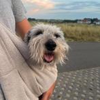 Honden draagzak voor kleine hond, Dieren en Toebehoren, Ophalen, Zo goed als nieuw