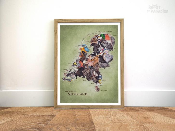 Poster: Vogels van Nederland, Verzamelen, Posters, Nieuw, Dier of Natuur, A1 t/m A3, Rechthoekig Staand, Verzenden