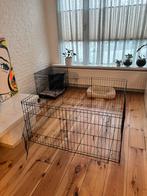 Puppy ren, Dieren en Toebehoren, Ophalen, Zo goed als nieuw