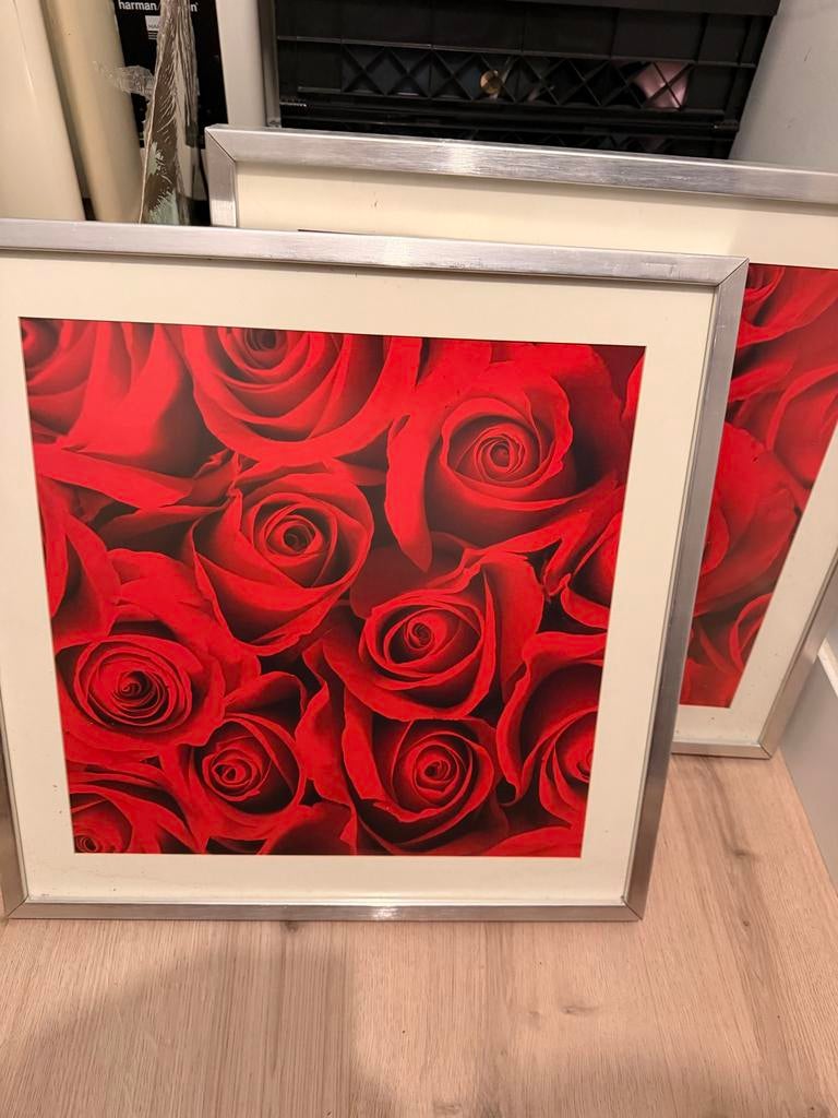 Twee fotolijsten met rode rozen print, Ophalen of Verzenden, Gebruikt, Metaal of Aluminium, Minder dan 50 cm