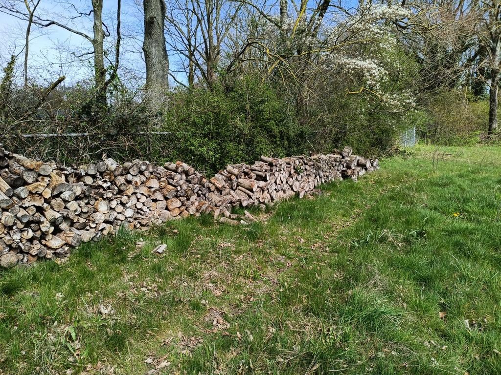 Diverse hout, Tuin en Terras, Haardhout, Minder dan 3 m³, Ophalen of Verzenden