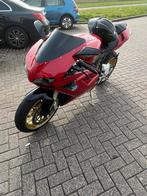 Ducati 848, 2 cilinders, Motorrijbewijs A, 848 cc, Super Sport