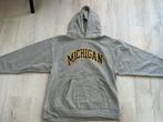 Vintage Steve & Barry's Hoodie Maat XL Michigan Grijs, Kleding | Heren, Truien en Vesten, Ophalen of Verzenden, Gedragen, Maat 56/58 (XL)