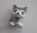 Littlest Pet Shop Husky #210 LPS Hasbro, Ophalen of Verzenden, Gebruikt
