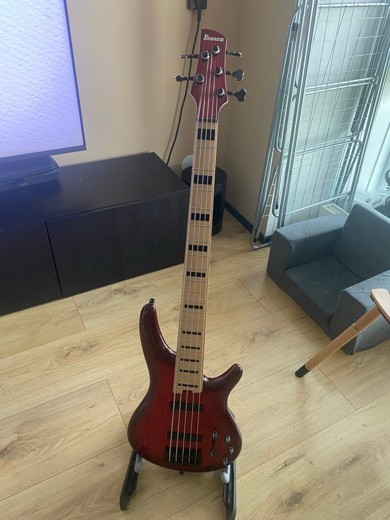 Ibanez ANB205 Adam Nitti Signature Basgitaar, Ophalen, Zo goed als nieuw, Elektrisch, 5-snarig