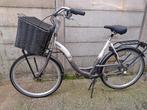 Te koop moederfiets, Ophalen of Verzenden, Overige merken