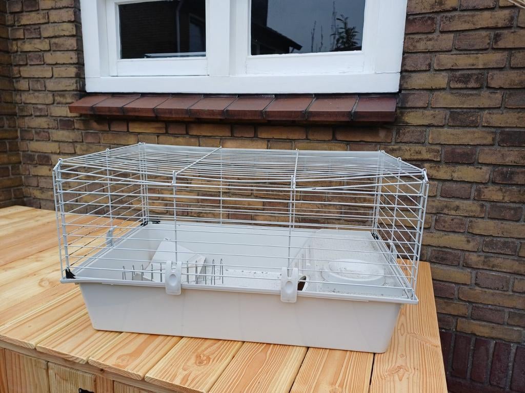 Hamster of caviahok, Kooi, Minder dan 75 cm, Hamster, Ophalen