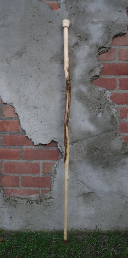 WANDELSTOK lang met natuurlijke vergroeiing - bon Camino (6), Ophalen of Verzenden, Nieuw, Wandelstok