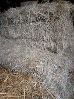 Mooi hooi, Ophalen of Verzenden, Vee