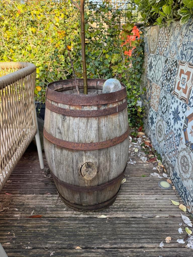 Wijnvat (inclusief vijgenboom), 150 liter of meer, Ophalen, Zo goed als nieuw, Hout