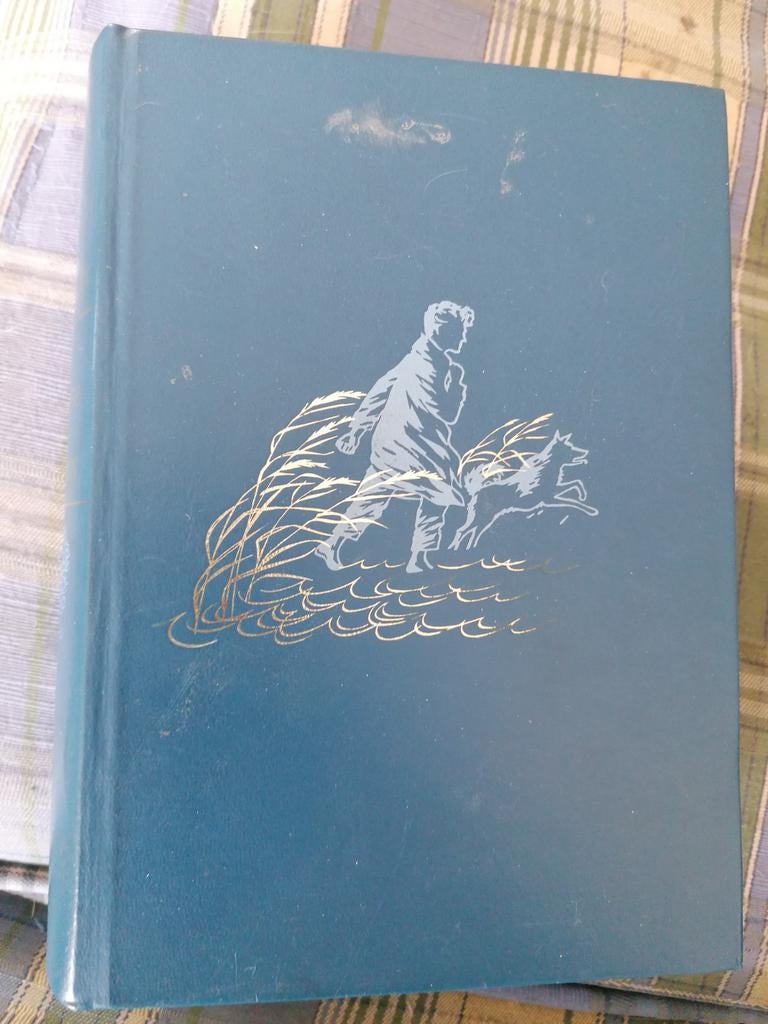 God schudde de wateren, Boeken, Ophalen of Verzenden, Gelezen