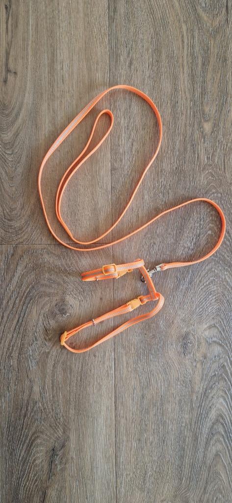 Tuigje voor een kitten, Dieren en Toebehoren, Ophalen of Verzenden