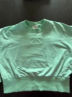 Nenette Trui - Zo goed als nieuw, Ophalen of Verzenden, Zo goed als nieuw, Maat 38/40 (M), Groen