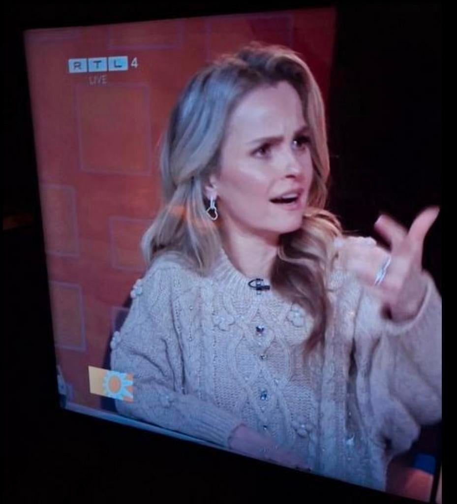 Zelfde trui met parels en steentjes weinig gedragen, Kleding | Dames, Ophalen of Verzenden, Zo goed als nieuw