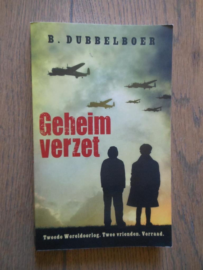 Te koop: Geheim verzet, B. Dubbelboer, tweede wereldoorlog, Ophalen of Verzenden, Zo goed als nieuw, B. Dubbelboer, Non-fictie