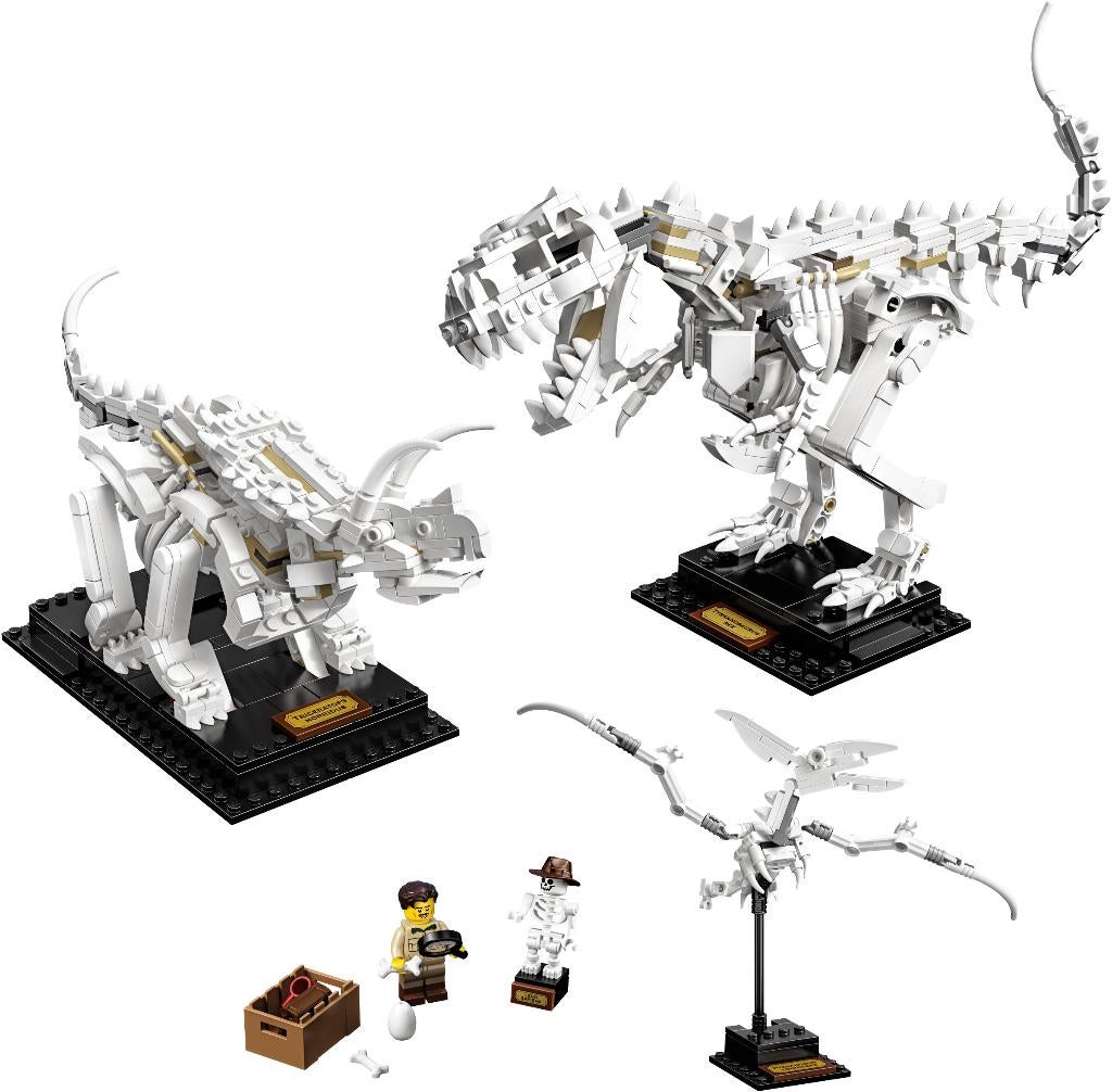 21320 - Ideas: Dinosaur Fossils, Hello@support.lego.com, Lego, Nieuw, Ophalen of Verzenden