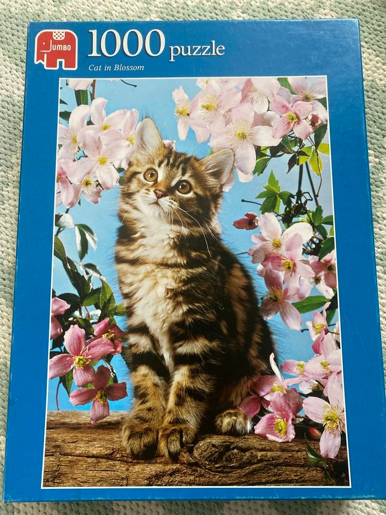 Jumbo 1000 stukjes puzzel, Ophalen, 500 t/m 1500 stukjes, Gebruikt, Legpuzzel