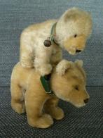 2 Steiff ijsberen groot en klein met knop halsband en bel, Ophalen of Verzenden