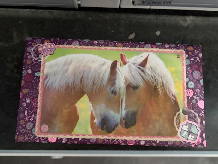 Nieuw staat.Paarden sieradendoos met spiegel van horse dream, Huis en Inrichting, Woonaccessoires | Kisten, Gebruikt, Minder dan 50 cm