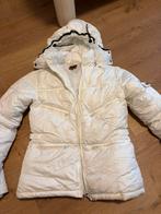 Winter / Ski jas Luna Nueva maat S, Ophalen of Verzenden, Zo goed als nieuw, Maat 36 (S), Jack