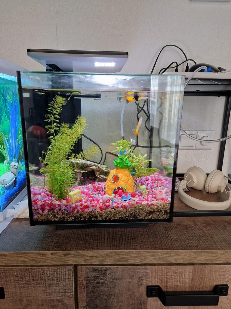 Qubic 30 liter, Ophalen, Zo goed als nieuw, Leeg aquarium