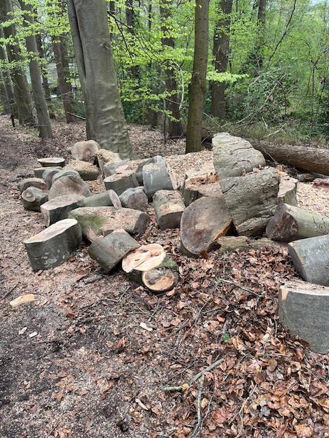 openhaardhout beuk zie foto, 3 tot 6 m³, Ophalen, Beukenhout, Blokken