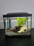 Aquarium superfish 20, Ophalen, Zo goed als nieuw, Gevuld zoetwateraquarium