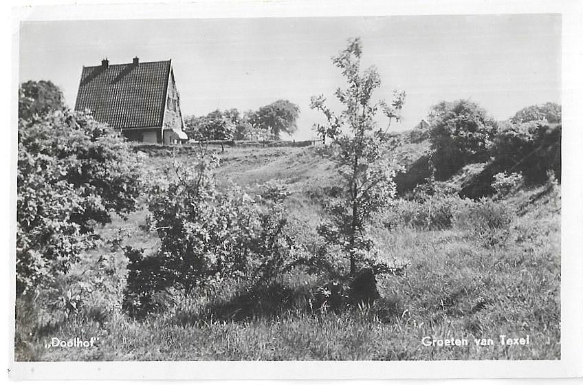 AK Texel - Groeten van Texel, Doolhof, Verzenden, 1940 tot 1960, Ongelopen, Waddeneilanden