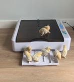 Broedmachine geschikt voor 36 eieren, Dieren en Toebehoren