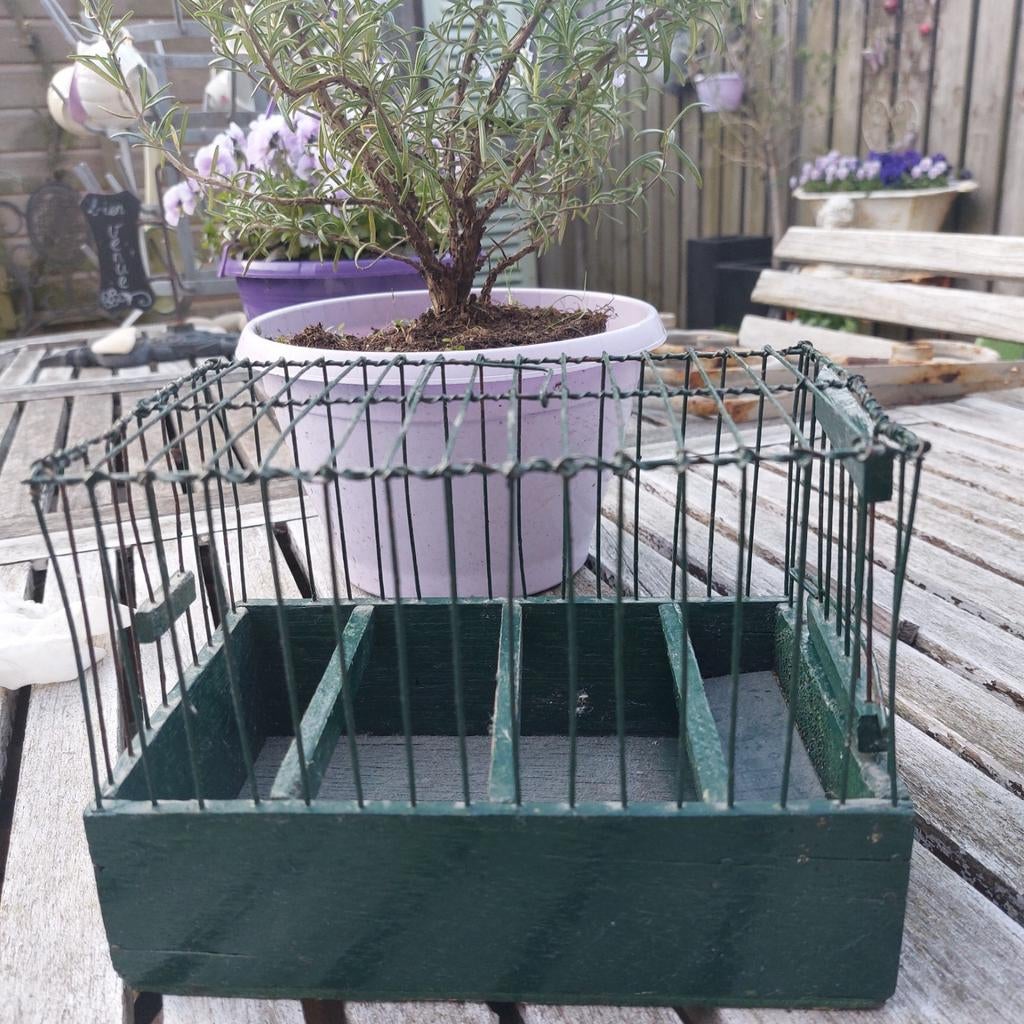 Brocante vogelkooitje, Dieren en Toebehoren, Vogels | Hokken en Kooien, Ophalen, Hout, Vogelkooi